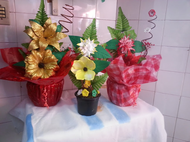 Vanda Modas