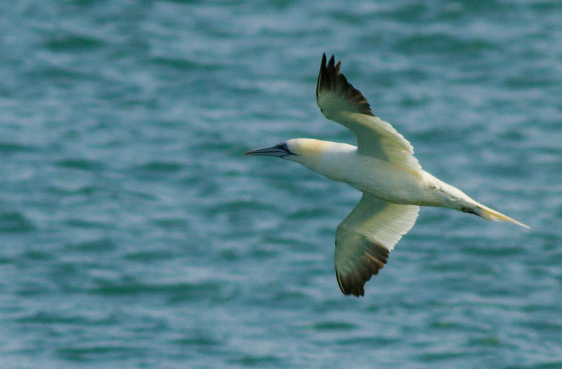 Photo & Video Sharing by SmugMug Photo & Video Sharing by SmugMug