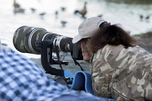 Click to see the various types of tripod head and the jobs they are suited for #Tripods #Heads http:...