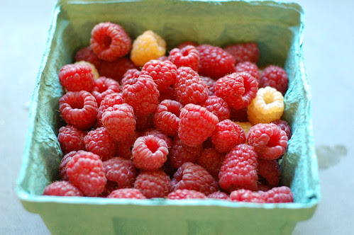 Raspberries by Eve Fox, Garden of Eating blog, copyright 2011