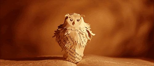 it moves hedwig gif it moves hedwig gif