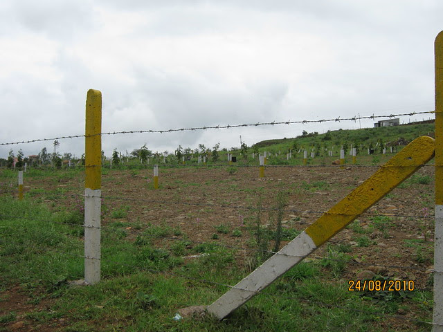 Bungalow Plots at Jambhulwadi & Mangadewadi, Katraj PuneIMG_2481