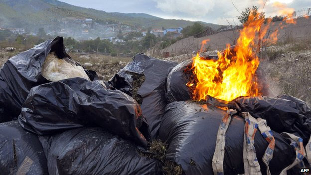 Bags filled with seized cannabis are burned by Albania's police in Lazarat village on 19 June 2014