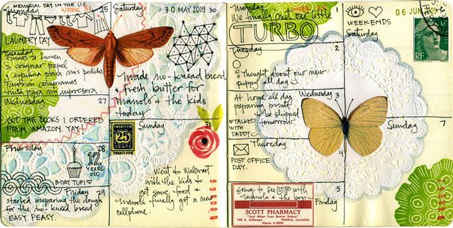 Journal pages May/June 2009