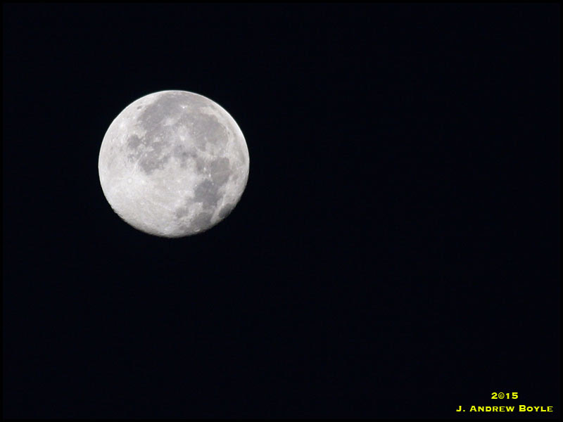 Moon Moon
