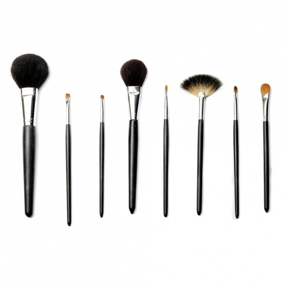  a guide to makeup brushes 