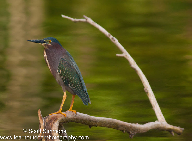 Photo & Video Sharing by SmugMug Photo & Video Sharing by SmugMug