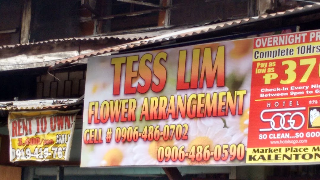 Tess Lim