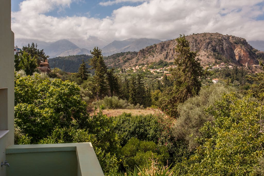 The view from the terrace.