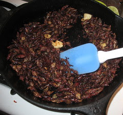 Grasshoppers sauteed in oil with garlic