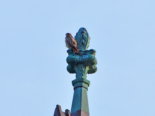 Isolde on a Finial