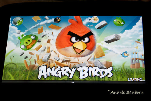 My New Kindle Fire-6