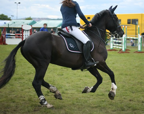 Showjumping