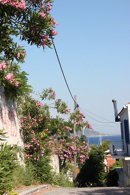 Kreikka, Samos 2012 045