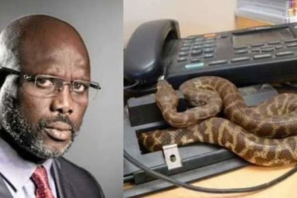 Image result for â«Ø§ÙثعابÙ٠تطرد Ø¬ÙØ±Ø¬ ÙÙØ§ Ù
Ù Ù
ÙØªØ¨Ùâ¬â
