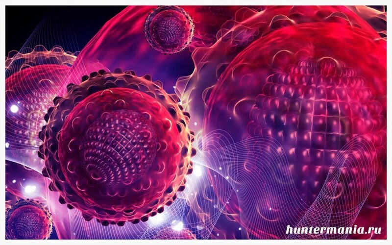 Вирусный гепатит В, профилактика, симптомы