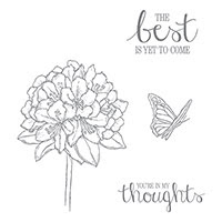 Best Thoughts Clear-Mount Stamp Set