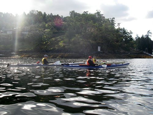 Kayaking Brentwood Bay I