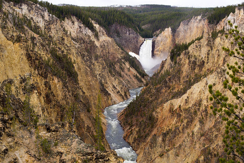 Grand Canyon of the Yellowstone