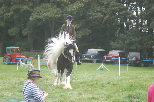Bowes Agricultural Show Sept 12 (18)