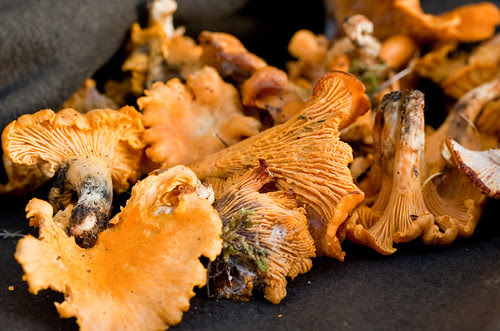 Mushrooms with watercress-1