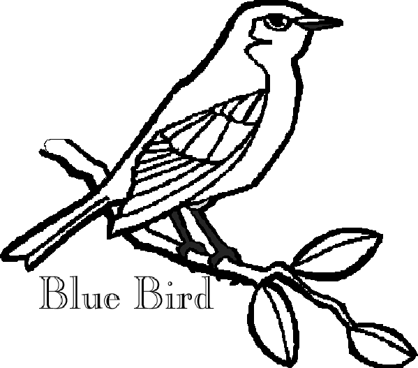 Perched on a branch blue bird coloring page.