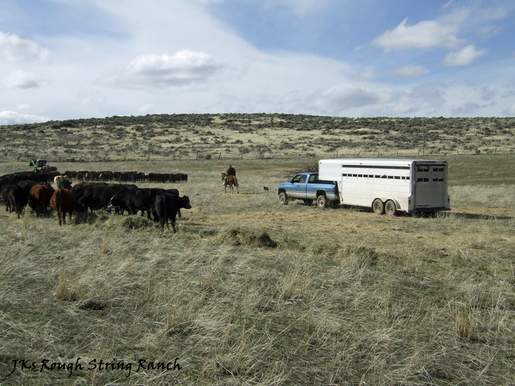 Arriving at the Hay Lot