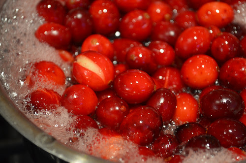 Making cranberry jelly