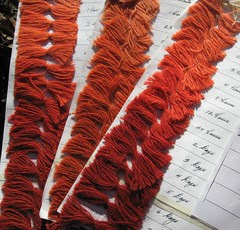 madder samples
