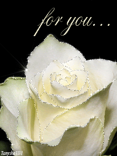 Белая роза для тебя!