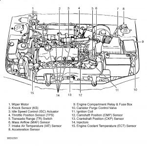 1996 Hyundai Accent Engine Wiring Diagram from lh4.googleusercontent.com