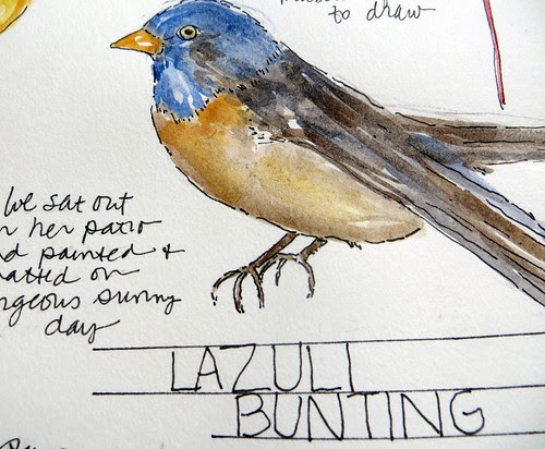 from my sketchbook