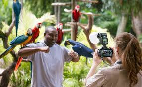 Theme Park «Jungle Island», reviews and photos, 1111 Parrot Jungle Trail, Miami, FL 33132, USA
