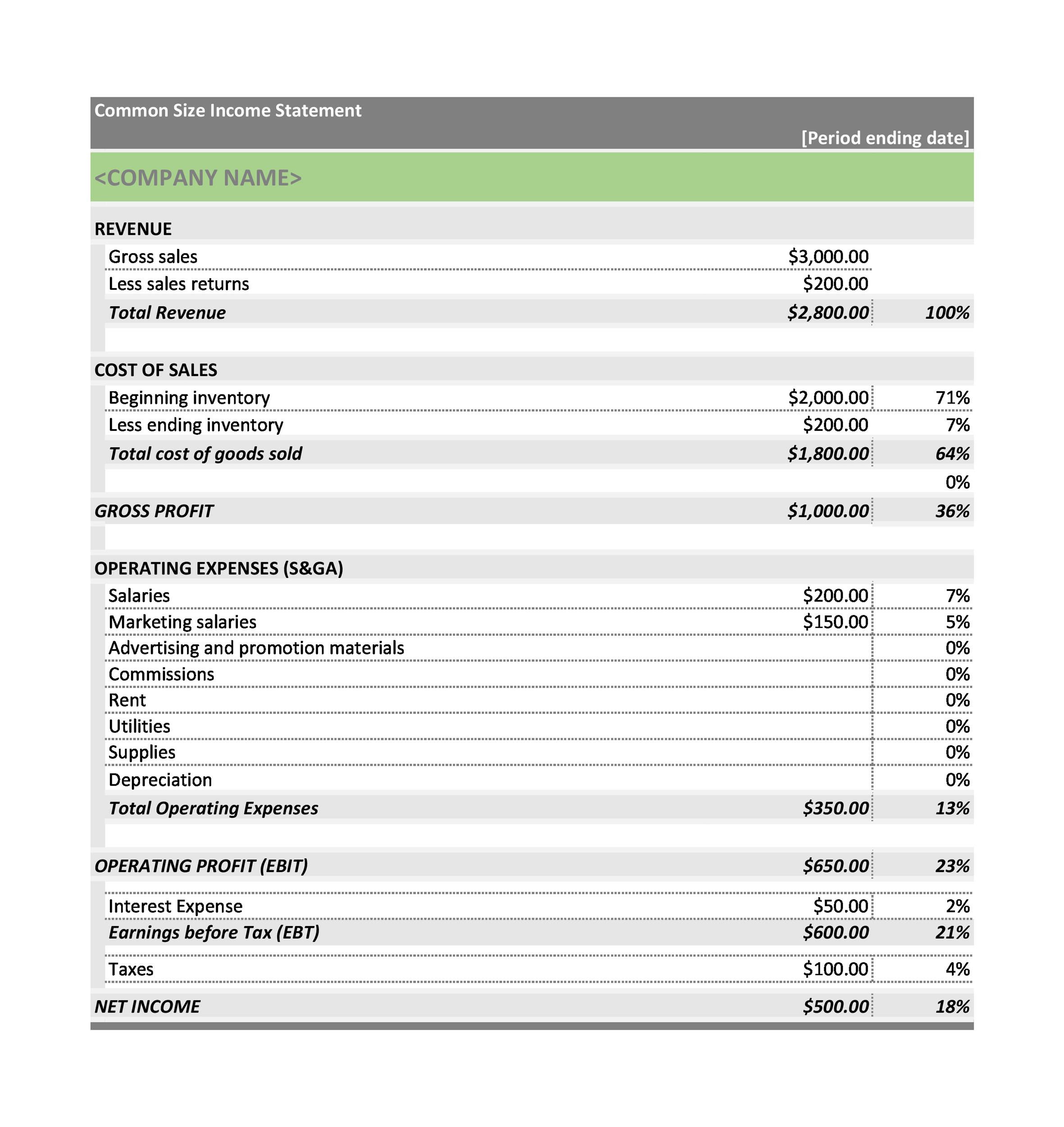 Sample Basic Income Statement The Document Template