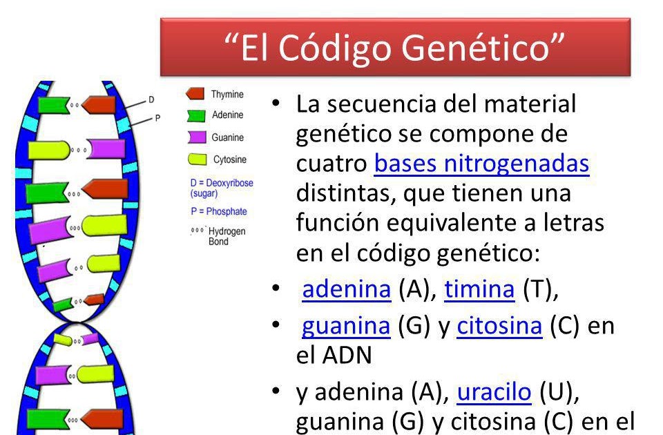 Aplicaciones Del Codigo Genetico En La Agricultura Nu 0608