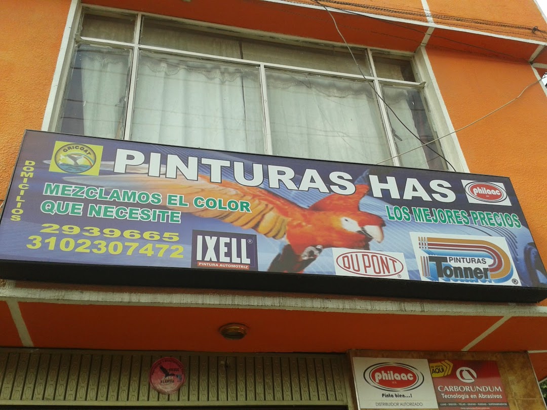 PINTURAS HAS