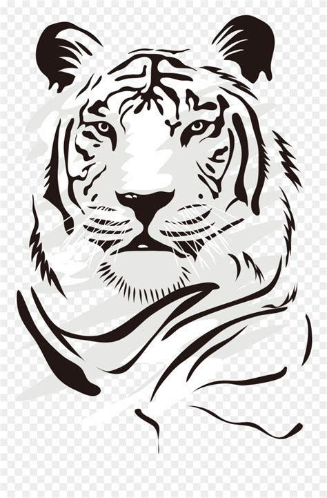 drawing tigers vector dibujos de tigres blanco  negro