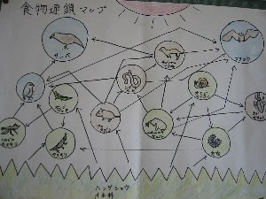 ほとんどのダウンロード 食物 連鎖 小学生 ここから印刷してダウンロード