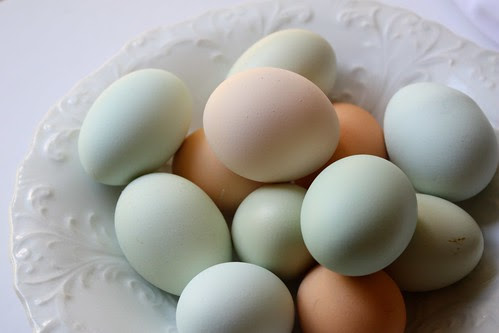Nana's Eggs