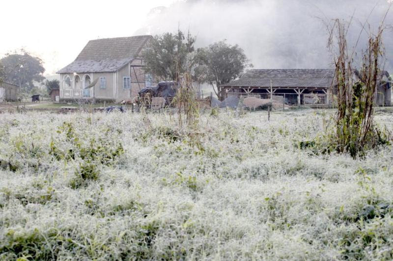Localidade de Jaraguazinho, Jaraguá do Sul/SC, geada deixou campos cobertos:imagem 9