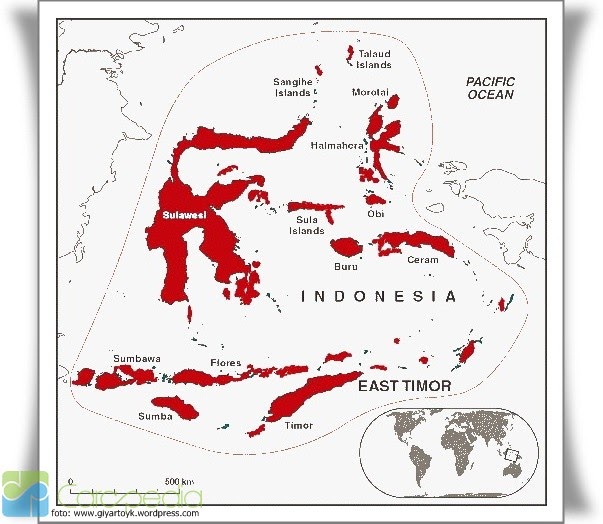 Flora dan Fauna  Tipe  Peralihan  di Indonesia 