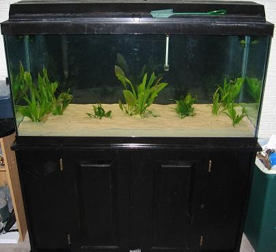 90 Gallon Aquarium Fish Tank FOR SALE ADOPTION from ...