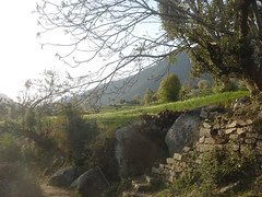 enter kareri