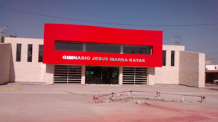 Jesús Ibarra Rayas