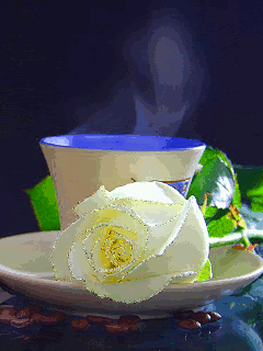 Роза и кофе