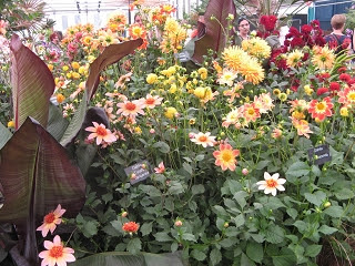 Chelsea Flower Show