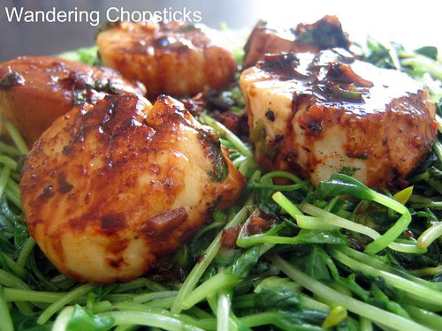 Scallops and Pea Shoots 1