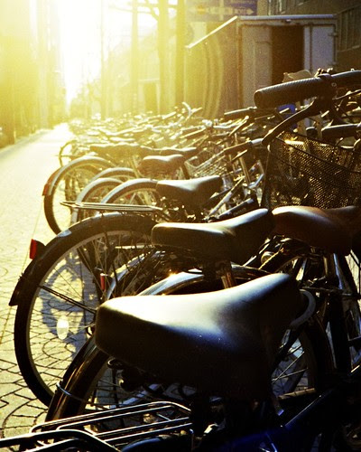 Instagrammy Bicycles