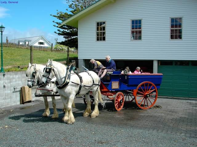 thecarriagehouse.nz