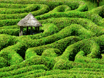 Cornwall Labyrinth Public Domain https://pixabay.com/en/maze-labyrinth-glendurgan-garden-511153/ 